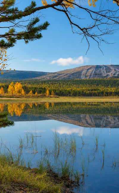 Autumn birches and a still lake mirror a rounded Lapland fell near Kolari, Finland, under a clear sky.