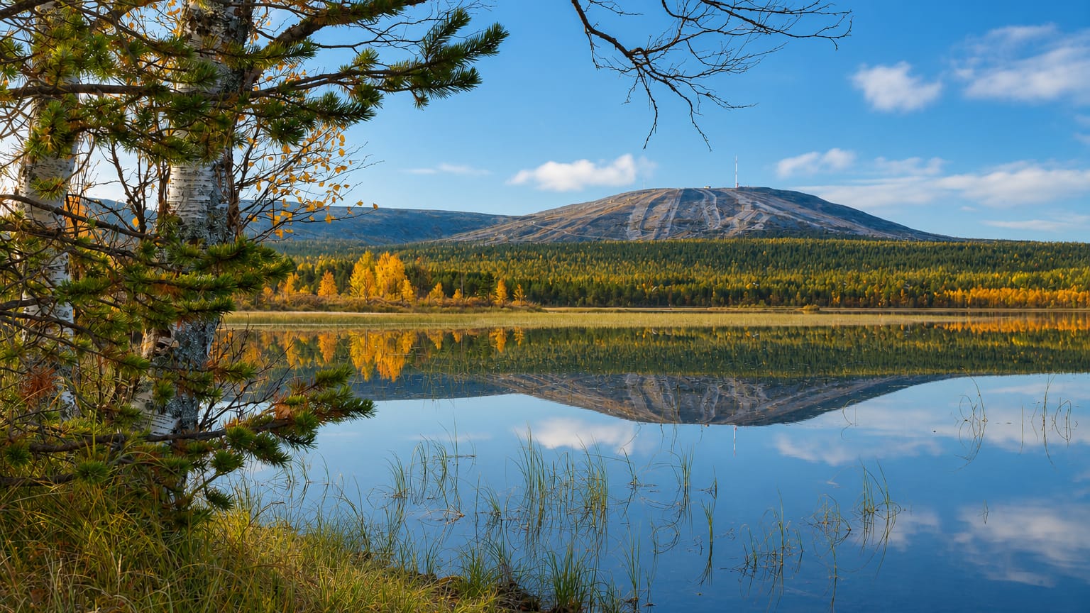 Autumn birches and a still lake mirror a rounded Lapland fell near Kolari, Finland, under a clear sky.