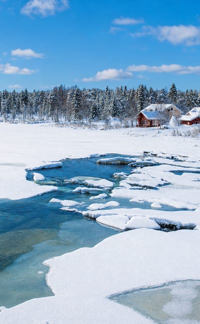 Frozen river with thawing ice, snow-laden spruce forest and red wooden cabins on the far shore in wintry Muonio, Finnish Lapland.