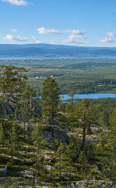 Rocky pine-covered hilltop overlooking a wide forested river valley and lakes near Ylitornio, Finland.