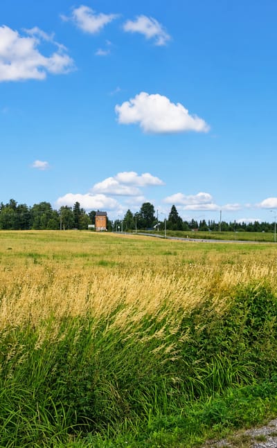 Golden summer meadow and farmland under a blue cloud-dappled sky with a distant treeline near Hollola, Finland.