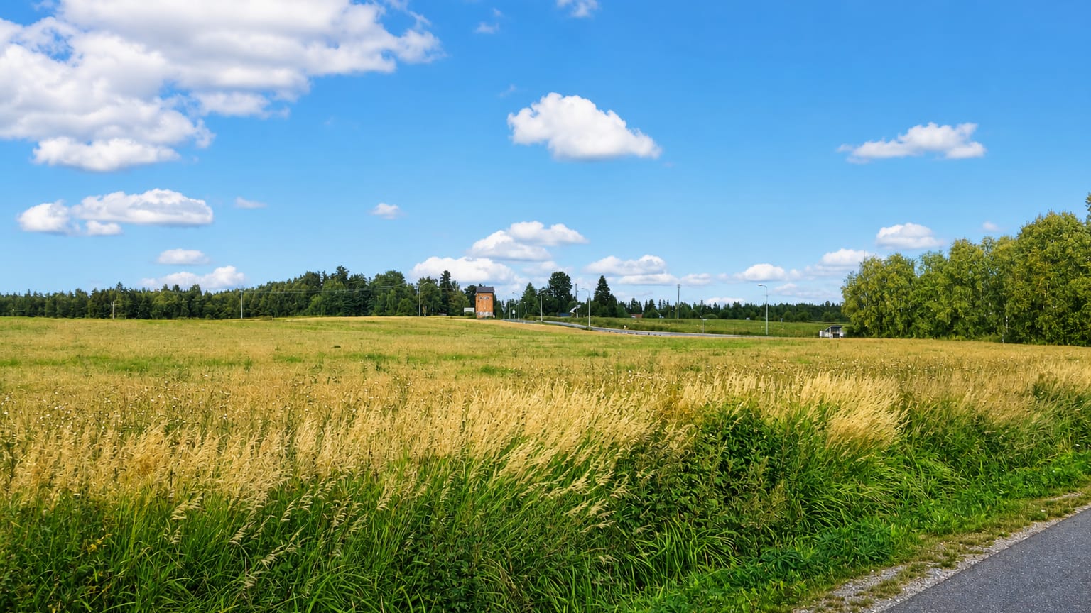 Golden summer meadow and farmland under a blue cloud-dappled sky with a distant treeline near Hollola, Finland.