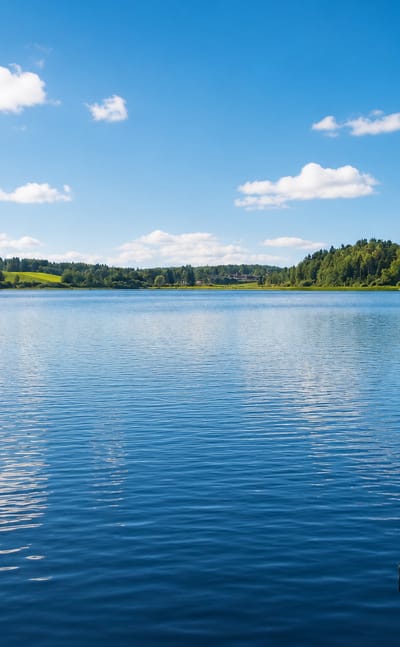 Calm blue lake ringed by forested shores under a bright summer sky at Mouhijärvi, Finland.