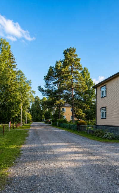 Gravel lane between wooden two-storey houses and birches in Dragnäsbäck, Vaasa.