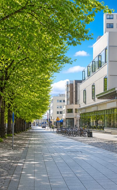 Lime-tree avenue and modern shopfronts along a paved pedestrian street in I kaupunginosa, central Vaasa.