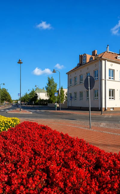 Lieksa town centre street lined with white buildings and a vivid red and yellow flowerbed under a clear blue summer sky
