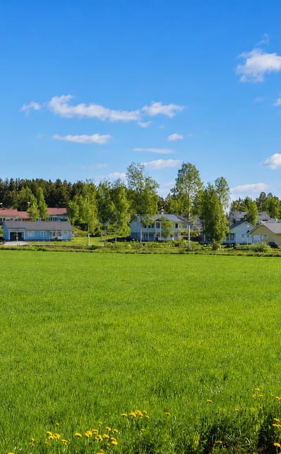Wooden houses of Pyhäselkä village behind a bright green summer meadow with forest and blue sky, North Karelia, Finland