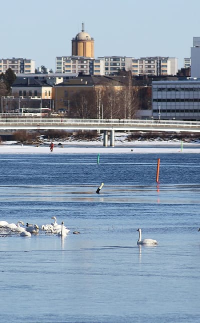 Oulu