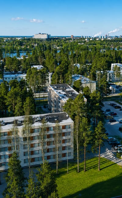 Pine-lined apartment blocks with the river and Oulu skyline beyond, seen over Myllyoja