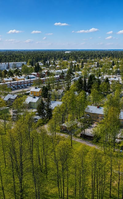 Aerial view of wooden houses, apartment blocks and birch trees in Nokela, a residential district of Oulu.