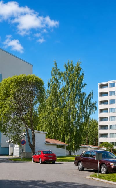 White 1970s apartment blocks among birches and parked cars in Puolivalinkangas, Oulu.