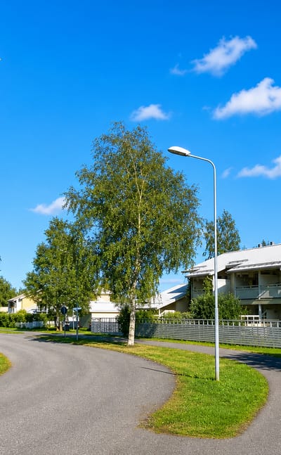 Quiet suburban street lined with birches and low yellow apartment blocks in Pyykosjarvi, Oulu.