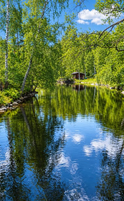 Calm river lined with birch forest and a red wooden cottage on a summer day at Sulkava, Finland.