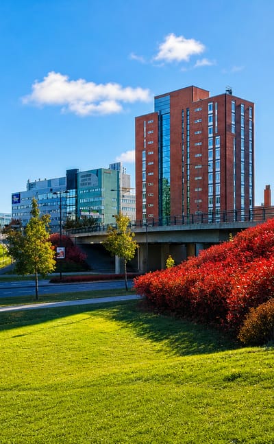 Residential high-rise towers and a road bridge framed by autumn-red shrubs and green lawns in Olari, Espoo, Finland.