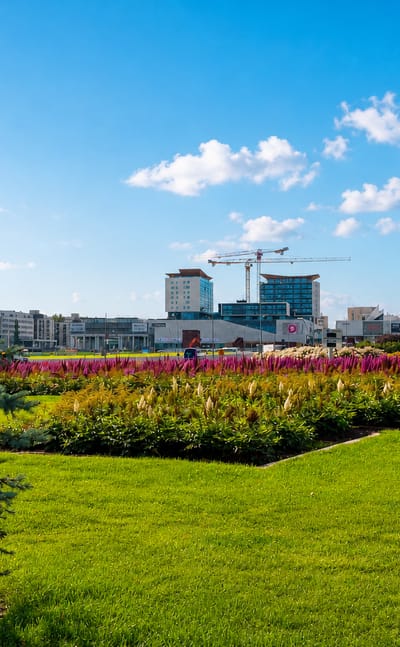 Tapiola's modernist skyline of towers rising beyond a green park with colourful flowerbeds and a young spruce, Espoo, Finland