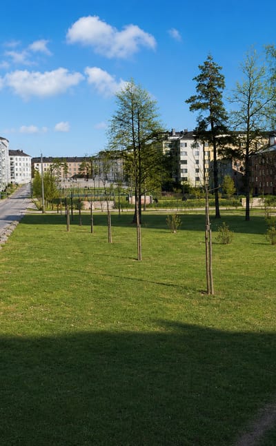 Sunlit park lawn and tree-lined street fronting rows of mid-rise apartment blocks in Taka-Töölö, Helsinki.
