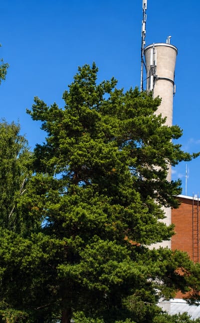 Vartioharju's water tower rising above a brick apartment block and lush birch and pine trees under a blue Helsinki sky
