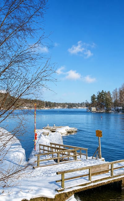 Snow-covered wooden pier reaching into a calm blue sea bay framed by birches and evergreen forest in Yliskylä, Helsinki.