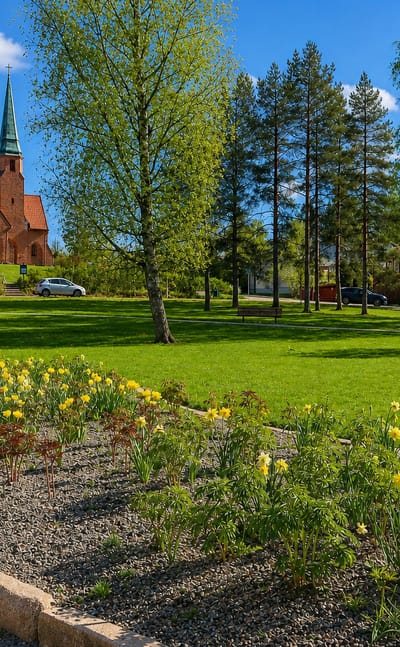 A red-brick church with a green spire above a park with daffodil beds and birches in Kauniainen, Finland.