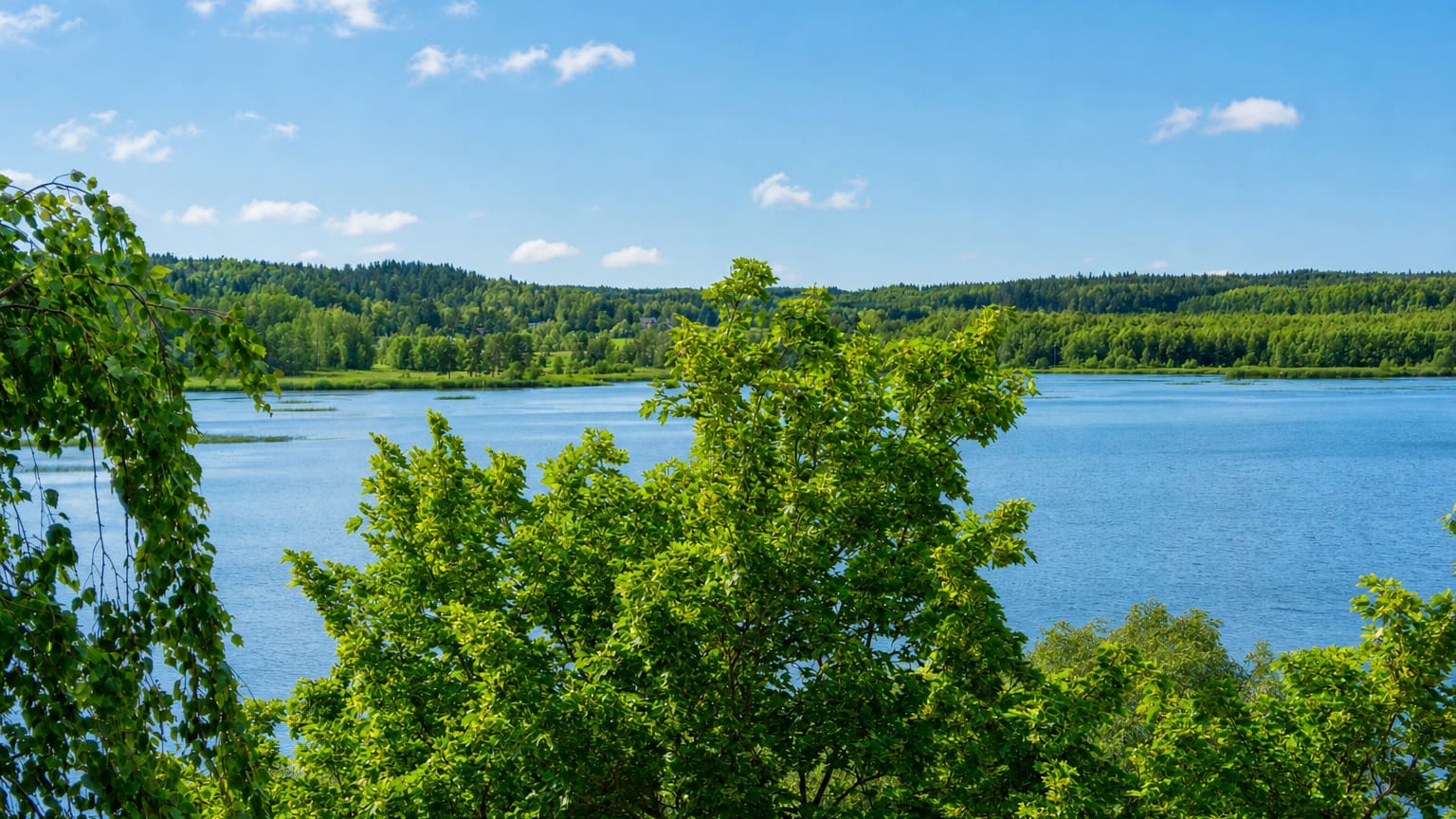 Lapinjärvi lake framed by green birch and leafy trees, with forested shores under a blue summer sky in Uusimaa, Finland.