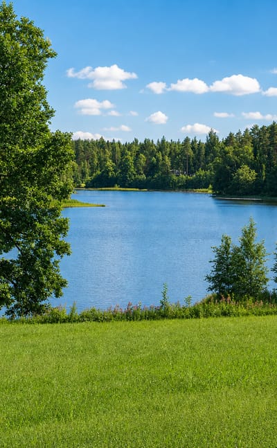 A tree-framed forest lake and green meadow under a summer sky in Kiikala, Finland.