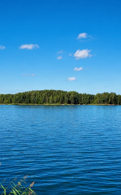 Calm blue archipelago waters with a forested shoreline and foreground reeds under a bright sky at Kimito, Finland.