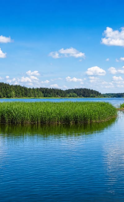 Calm reed-lined lake waters and forested shores under a bright summer sky near Lemu, Finland.