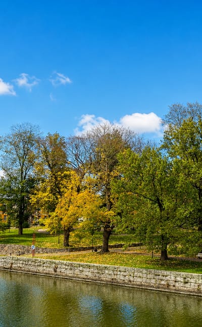 Turku Cathedral's green-spired tower above autumn trees along the Aura River in Turku, Finland