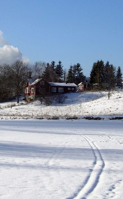 Koroinen