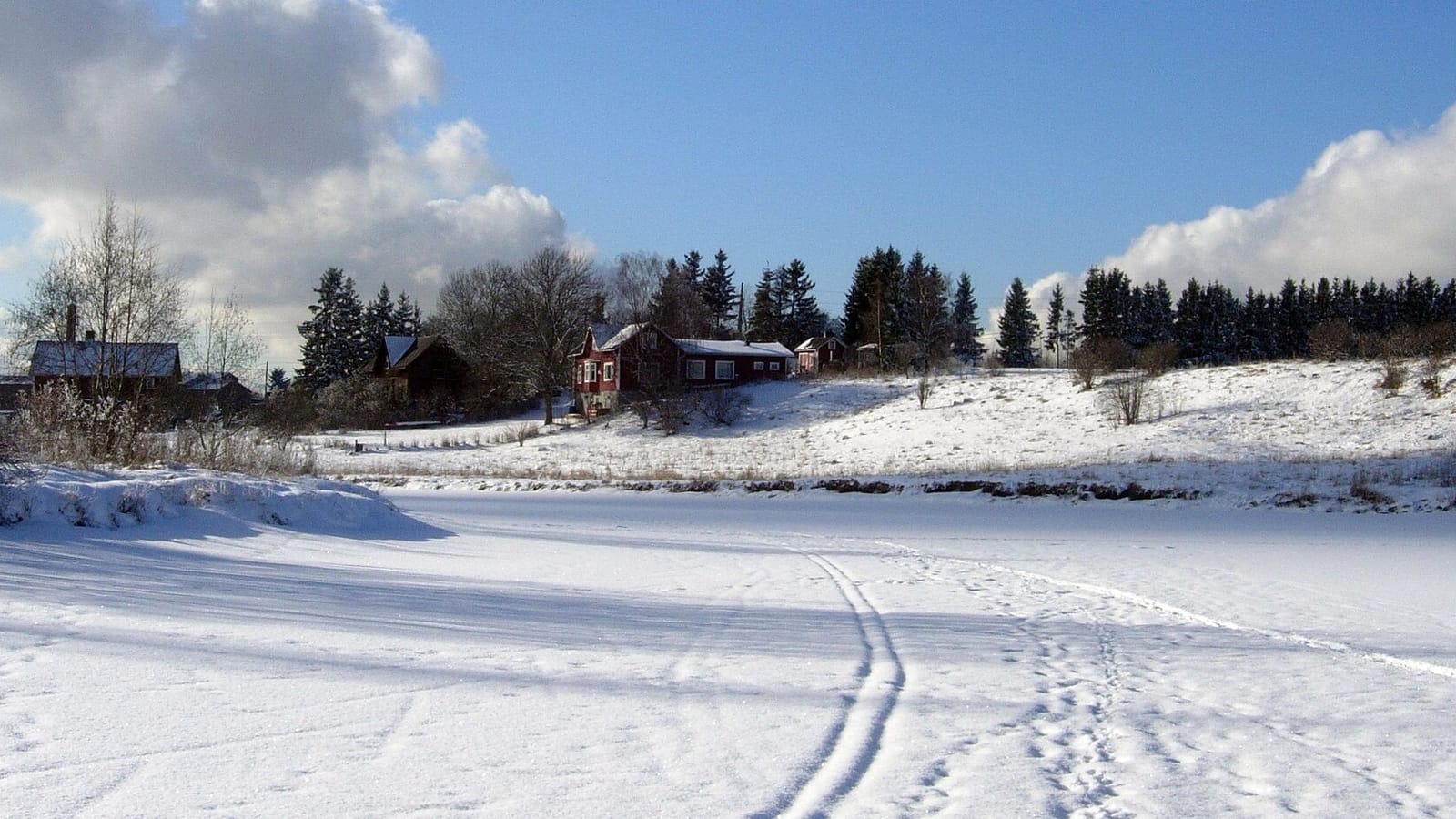 Koroinen