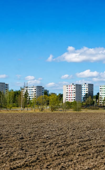 Vätti on the edge of Turku, with apartment blocks standing behind a birch treeline above a ploughed field.
