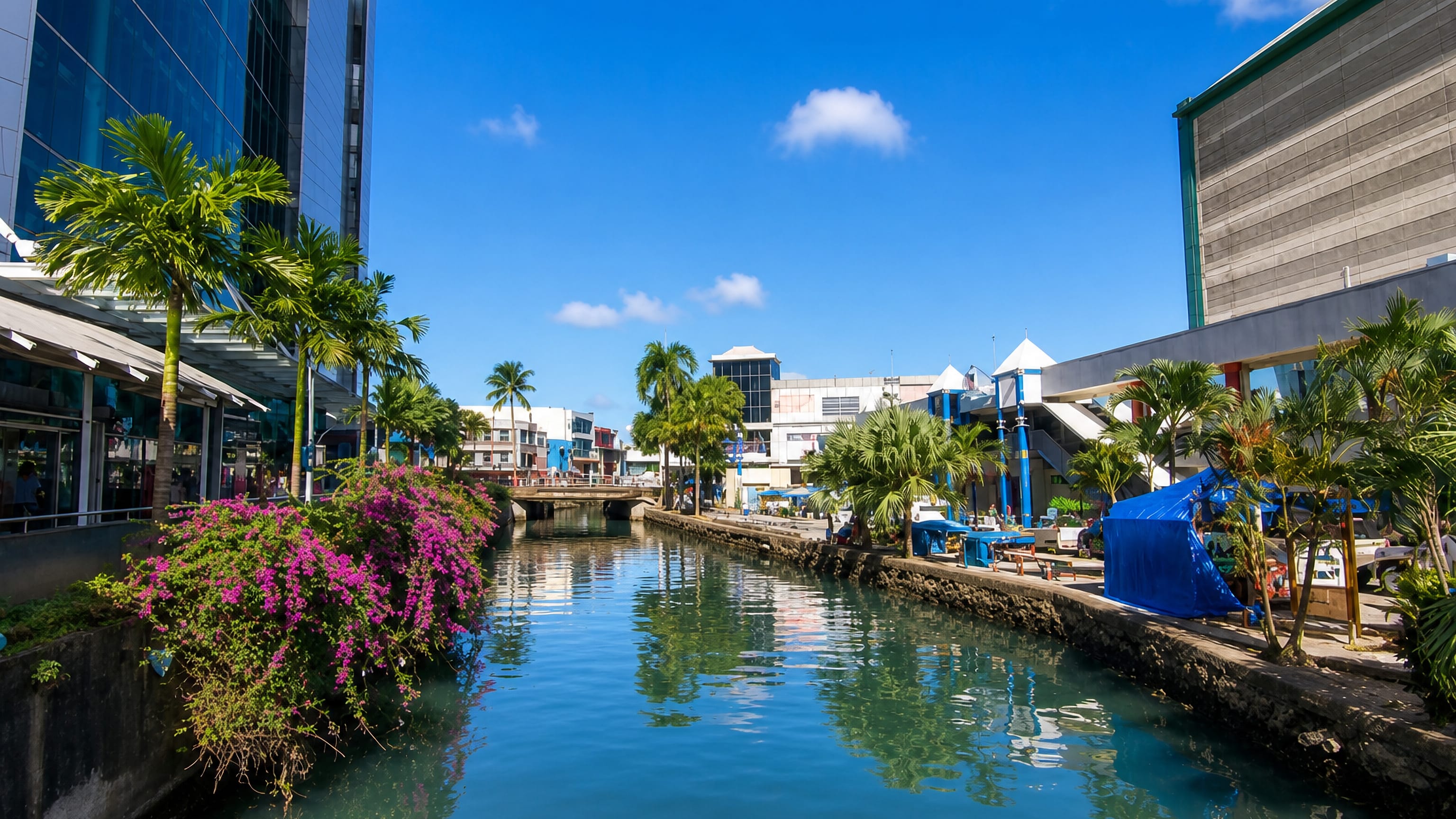Palm-lined tidal creek through central Suva, Fiji, edged by bougainvillea, low-rise shops and a road bridge.