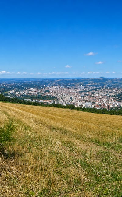 Saint-Étienne spread across its valley seen from a hilltop meadow amid green hills in France.