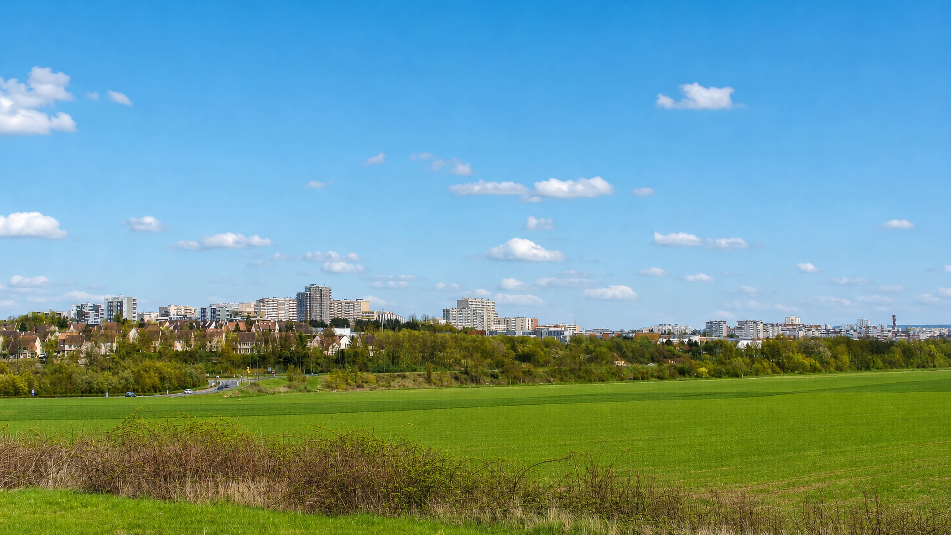 Distant view of Reims apartment blocks and rooftops across a wide green field, France