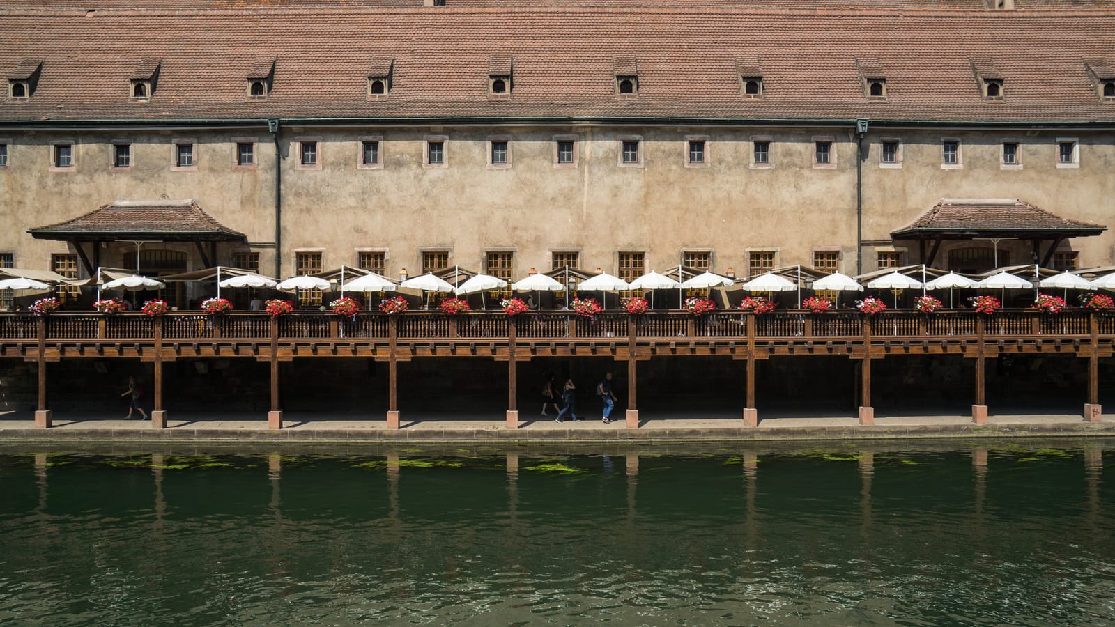Krutenau