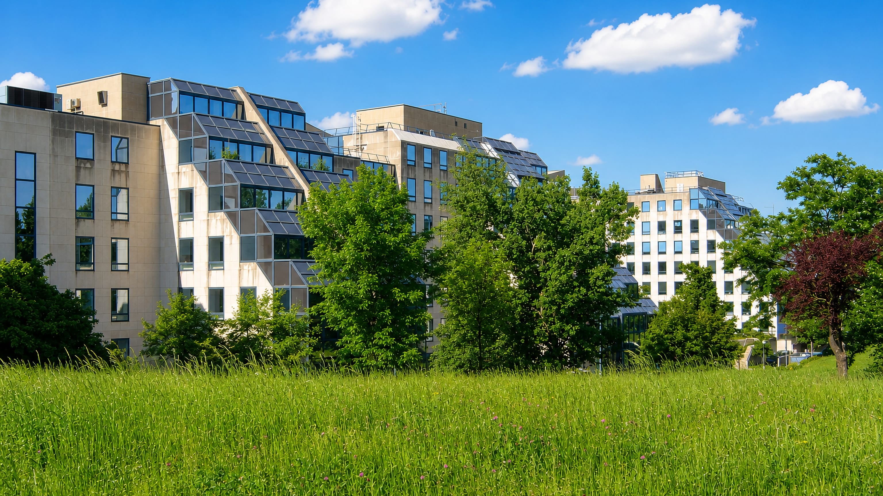 Modern apartment blocks with glazed facades behind trees and a summer meadow on the edge of Antony, near Paris.