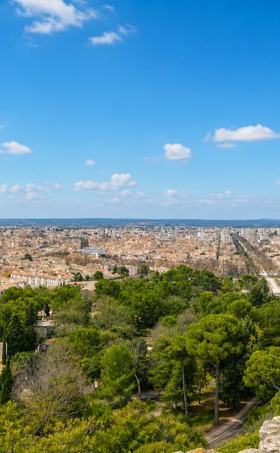Elevated panorama over the terracotta rooftops of Nimes framed by Mediterranean pines and cypress under a blue sky