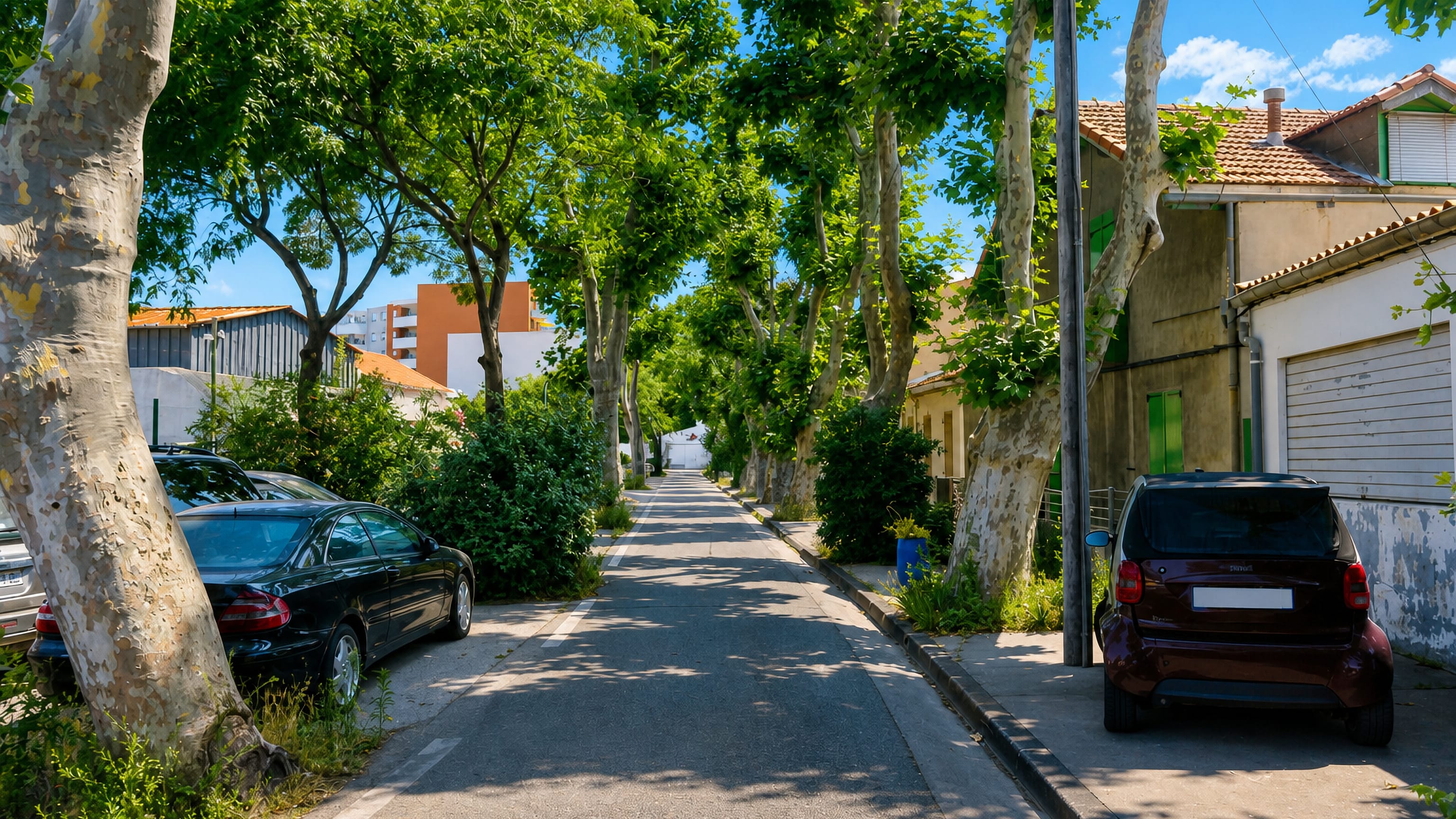 Plane trees shading a quiet residential street of low tiled-roof houses in La Capelette, Marseille.