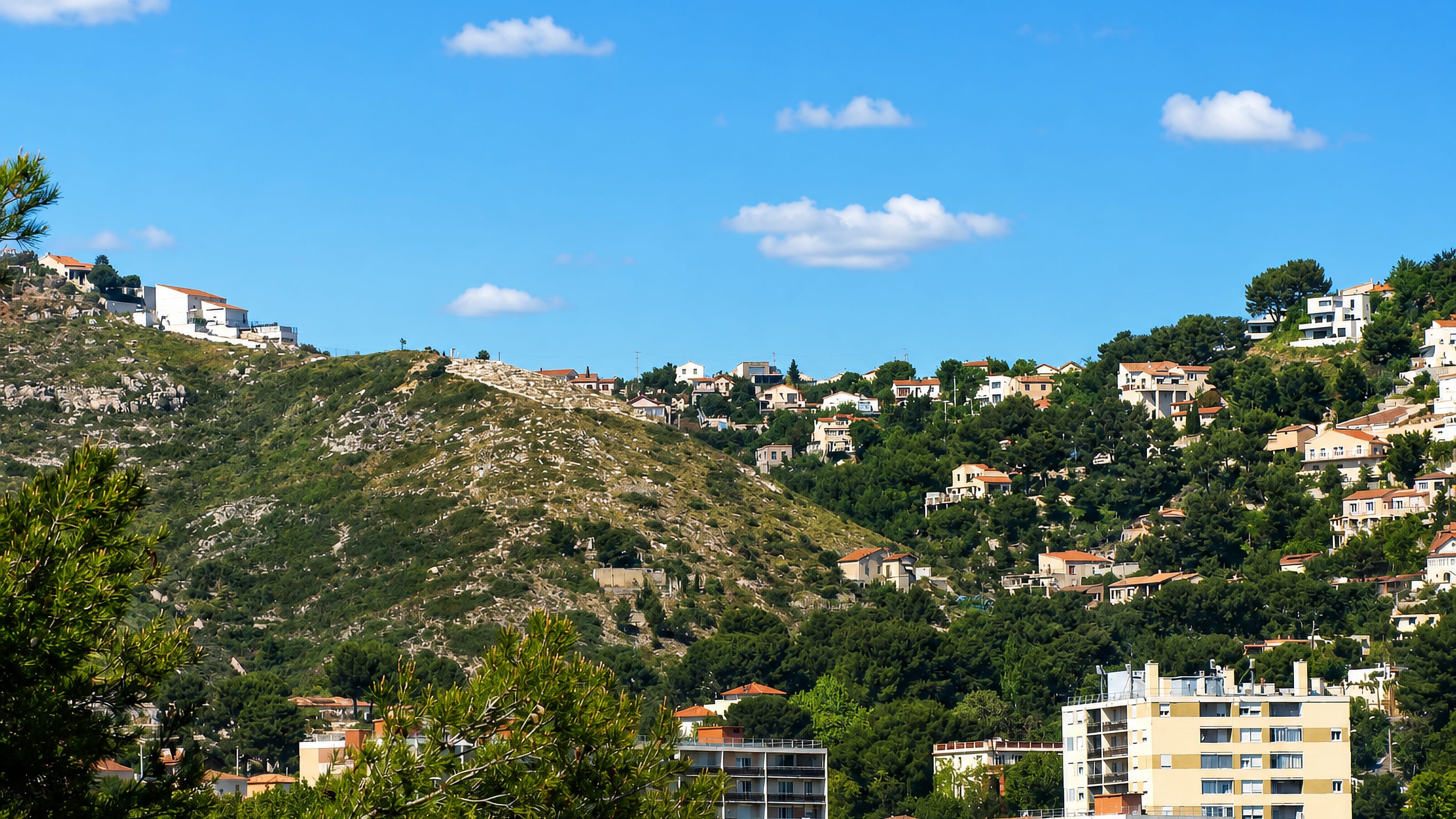 Houses scattered across pine-covered hillsides above apartment blocks in Verduron, northern Marseille.