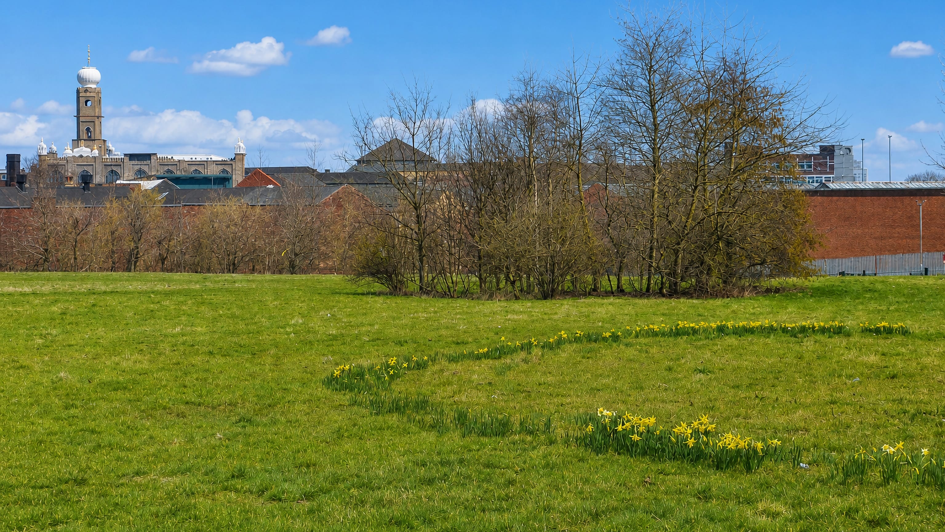 Grassy open space with daffodils at Gib Heath, Birmingham, backed by a domed mosque and brick works.