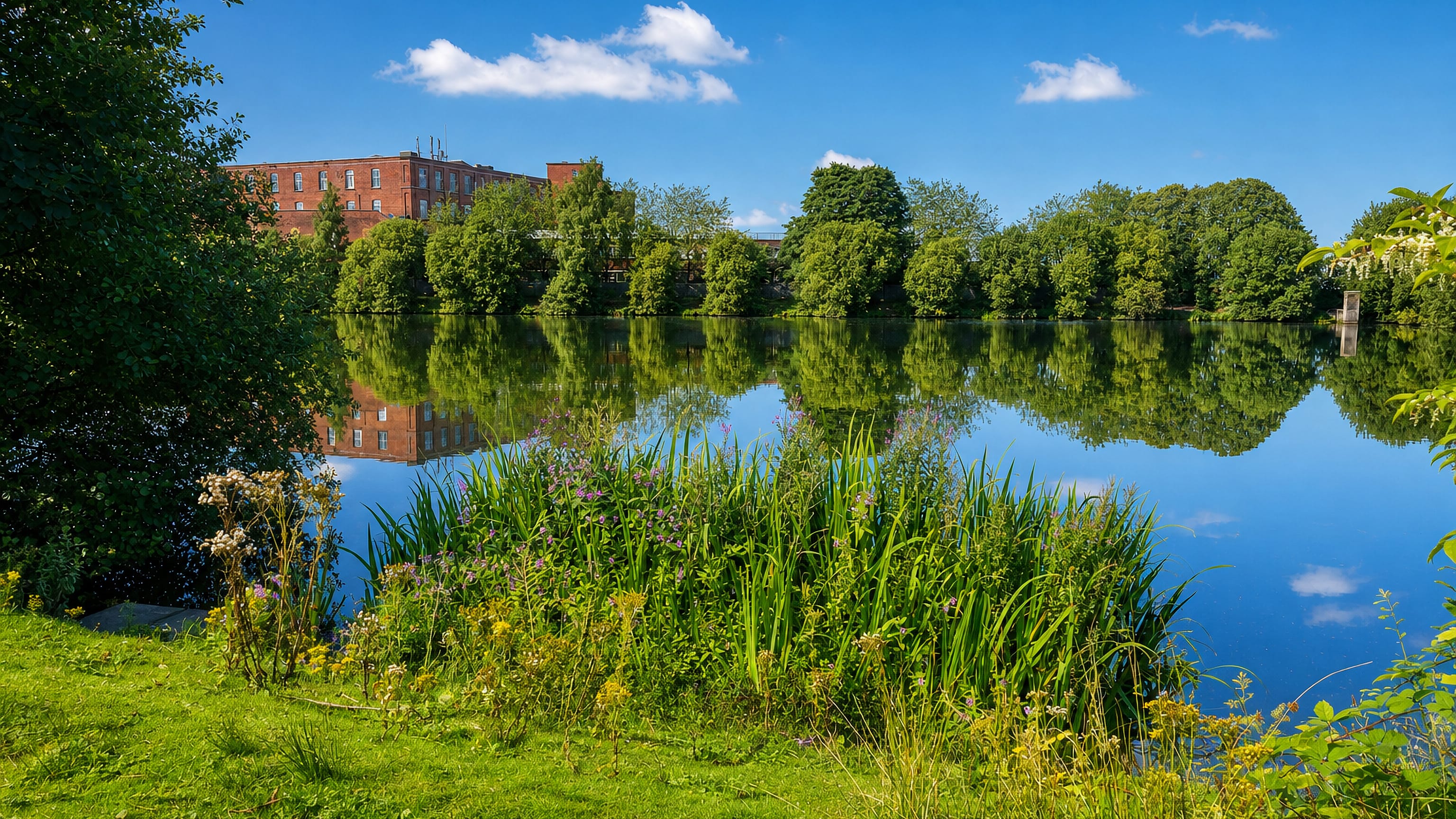 Reed-fringed lake reflecting a red-brick cotton mill on a summer day at Great Lever, Bolton.