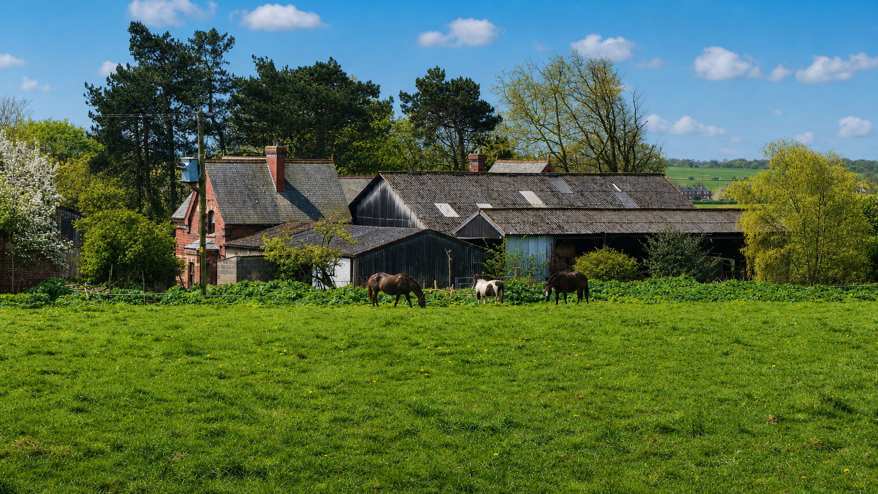 Brick farmhouse and weathered barns with horses grazing in a green field at Austhorpe, Leeds