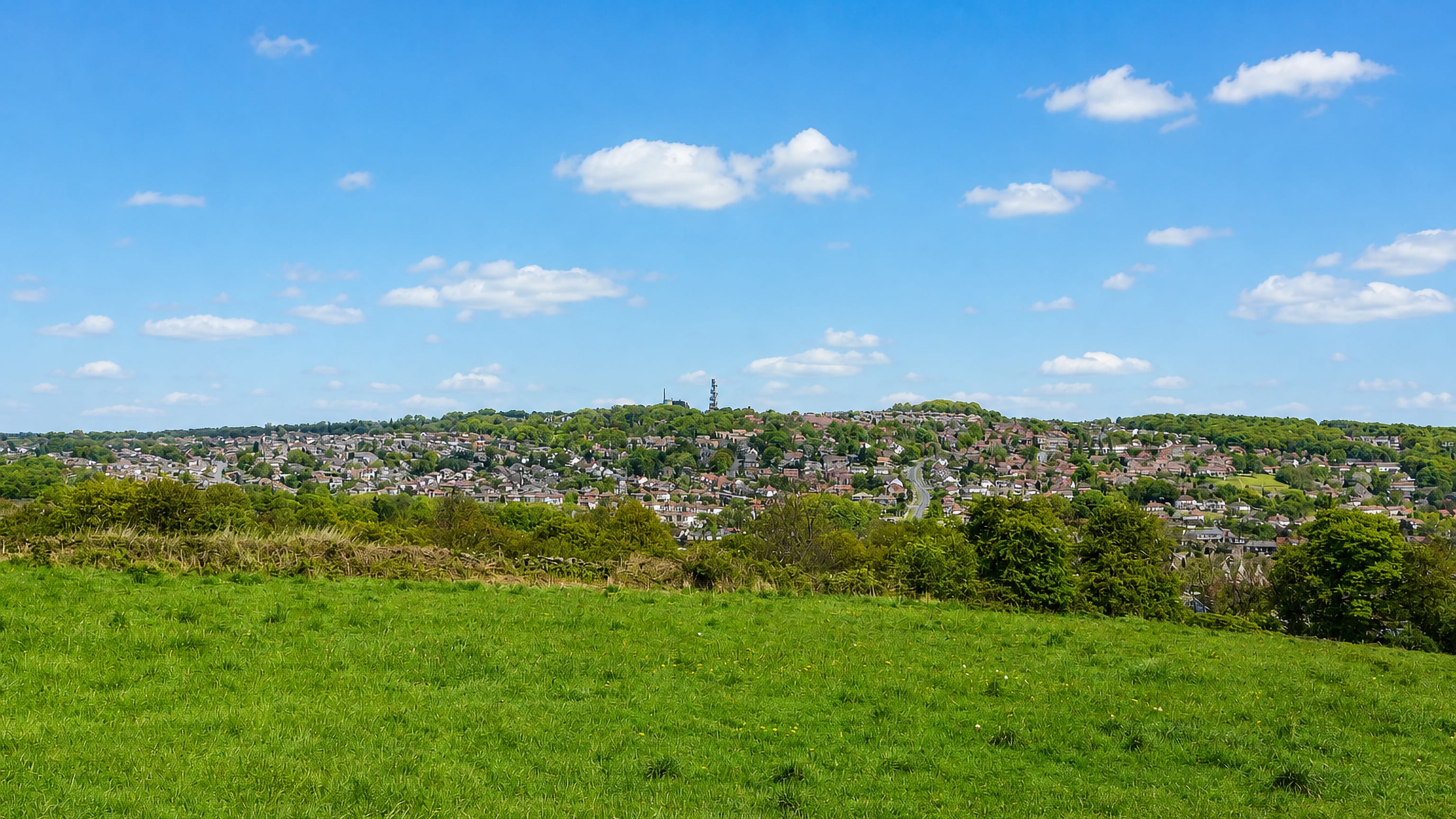 Meadow above Leeds with houses spreading across the hillside at Tinshill.