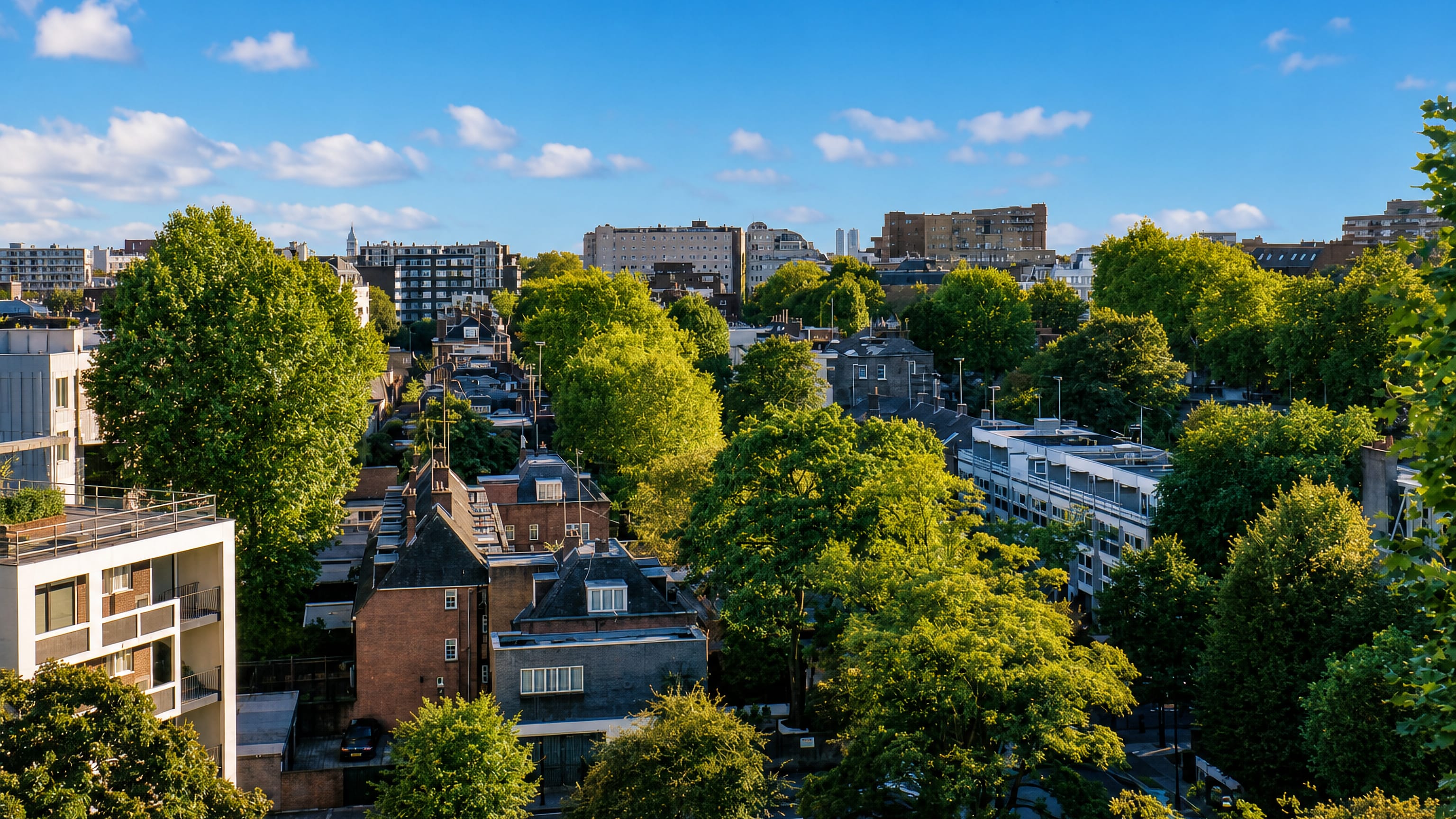 Leafy rooftops of Bayswater in west London, with brick townhouses and mansion blocks among mature trees.