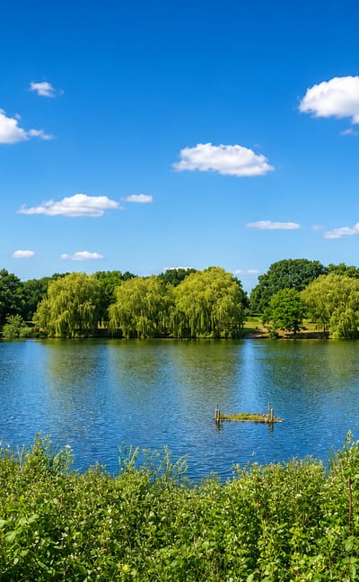 A calm willow-fringed lake with reed banks and open grass under a blue summer sky near Hornchurch, London