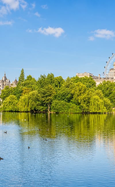 St James's Park lake in London with the London Eye and Horse Guards rooftops rising above the willow-lined banks