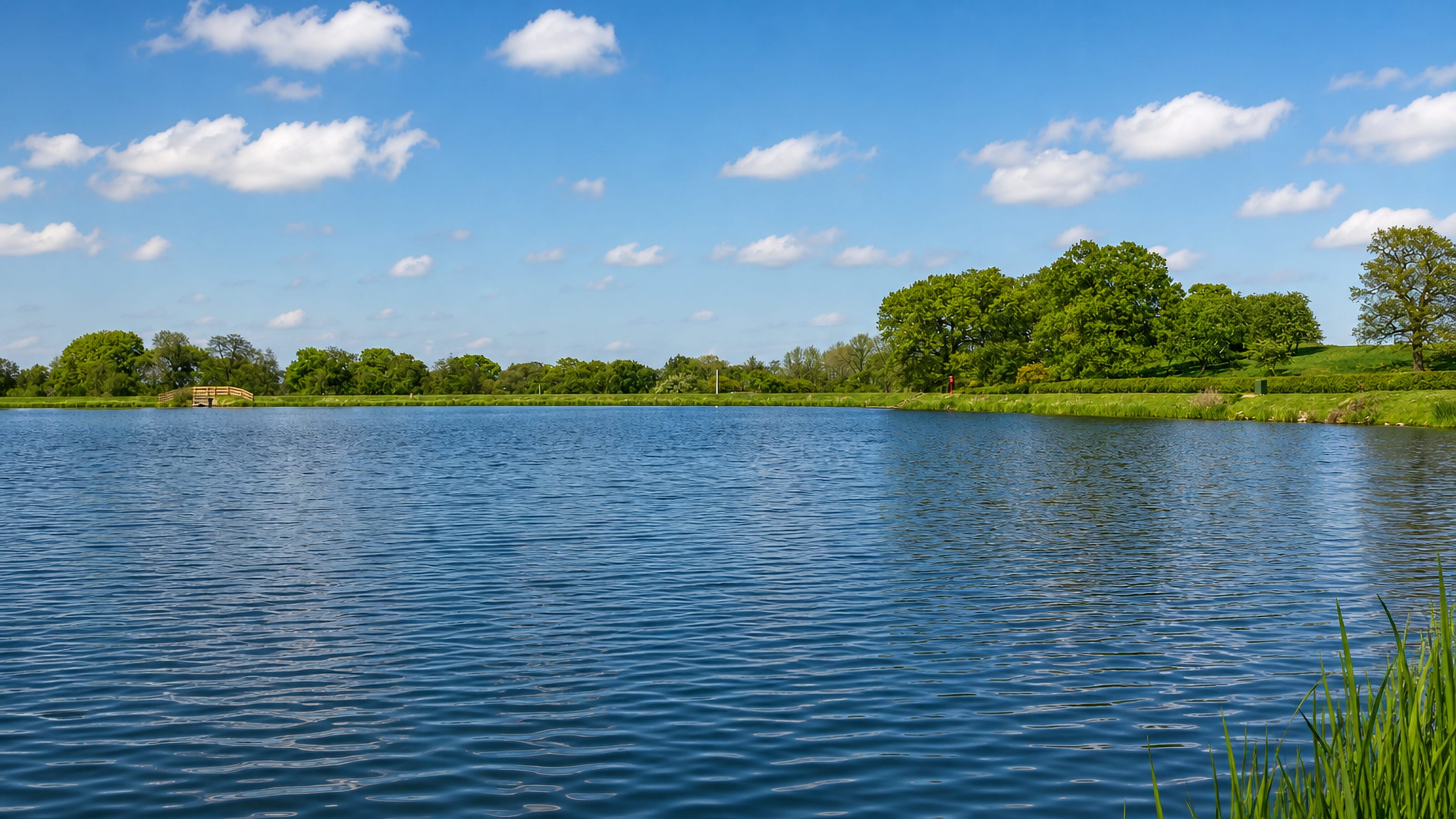 Nanpantan Reservoir near Loughborough, its still water fringed by oaks and meadow under a summer sky.