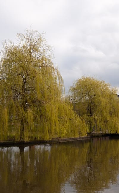 Castlefield