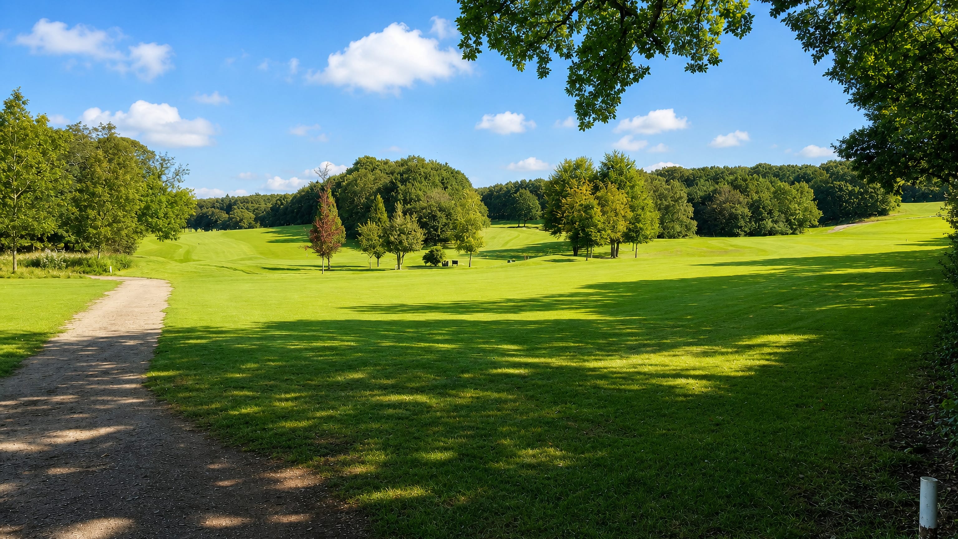 A footpath crossing open parkland and mature trees in Abbeydale, Sheffield.