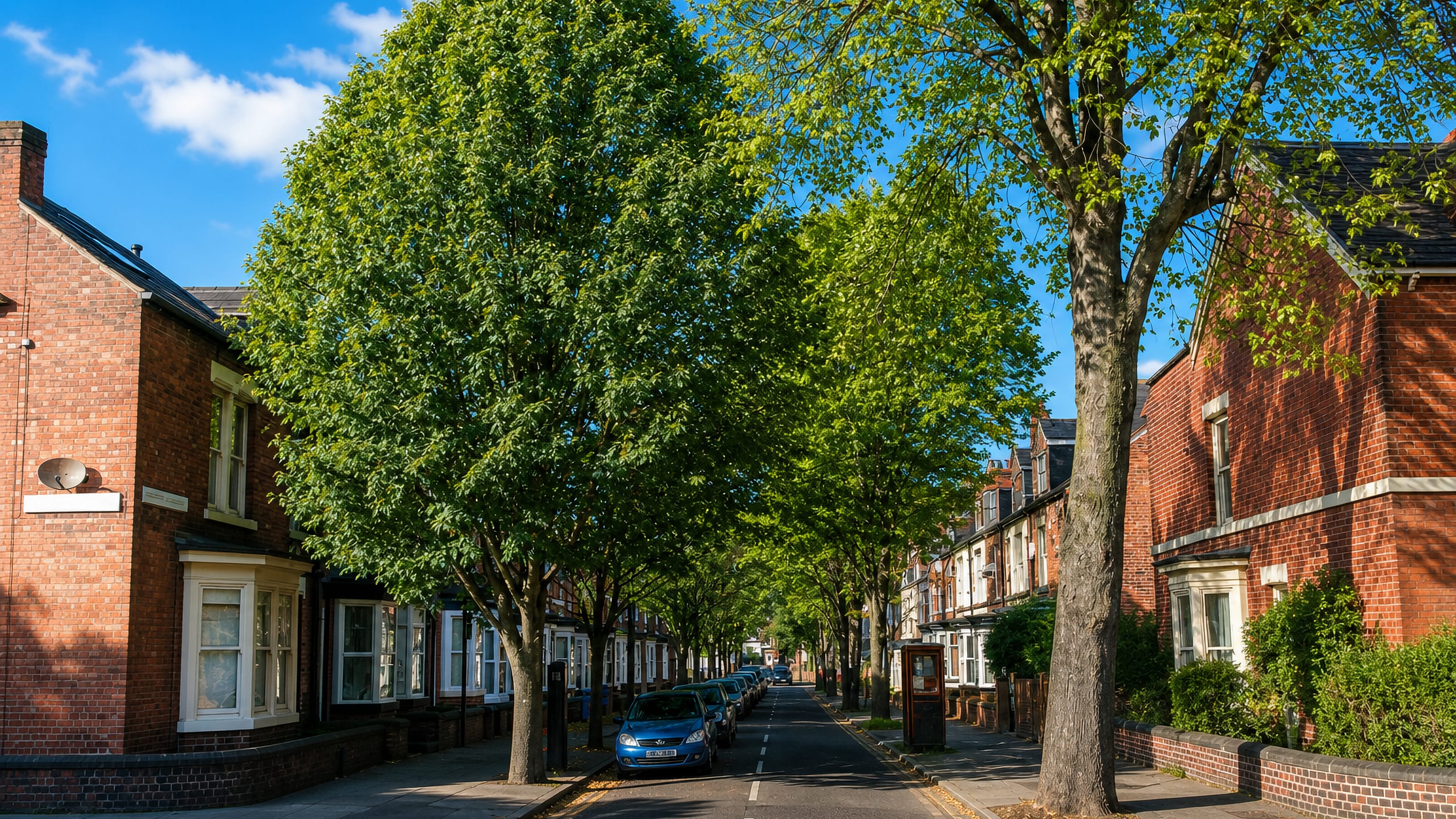 Tree-lined street of red-brick Victorian terraces with bay windows in Sharrow, Sheffield.